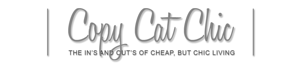 Copy Cat Chic: Cheap and Chic Shopping Hints