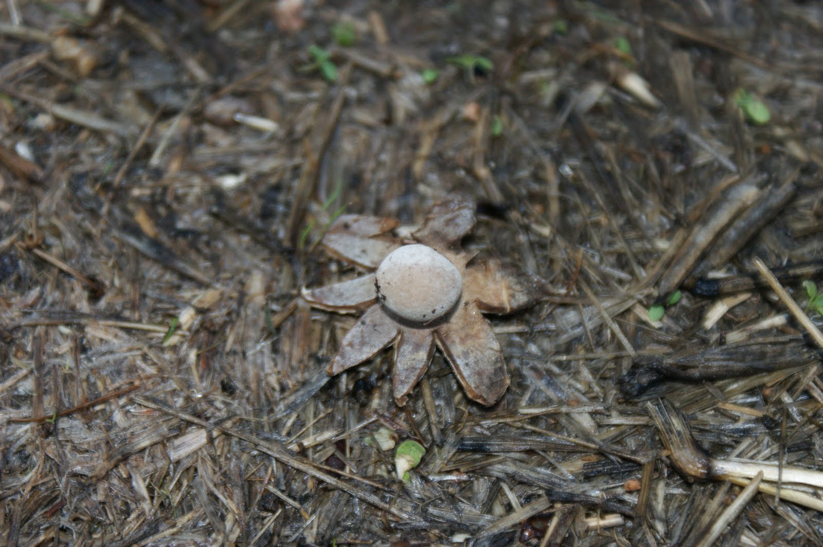[DSC05077.JPG]