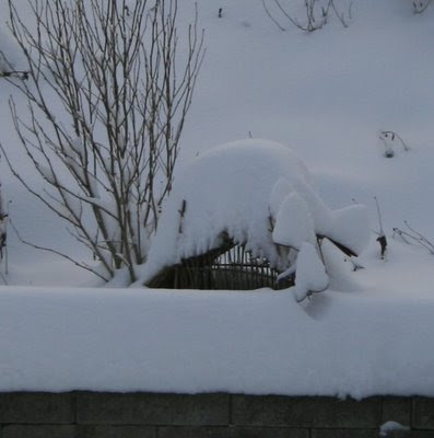 More snow on fairy house