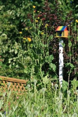 Colourful rainbow birdhouse