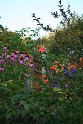 garden with birdhouse