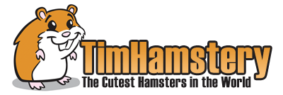 Buy Hamsters in Singapore