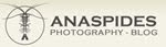 Ian WIlliams' Anaspides Photography