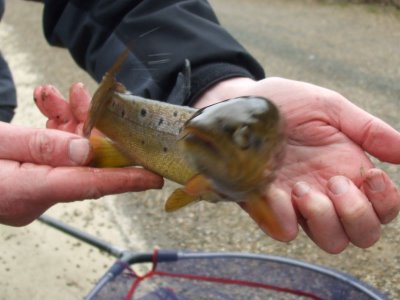 [You_Looking_At_Me______2_008.jpg]