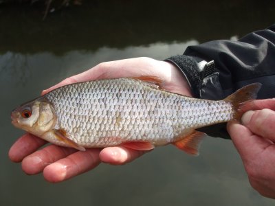 [You_Looking_At_Me______2_007.jpg]