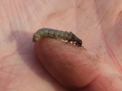 [You_Looking_At_Me______2_006.jpg]