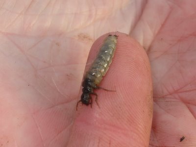 [You_Looking_At_Me______2_005.jpg]