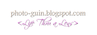 Photo-Guin - Life Thru a Lens