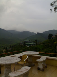 CAMERON HIGHLAND