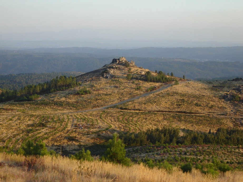 [DSC01424.JPG]
