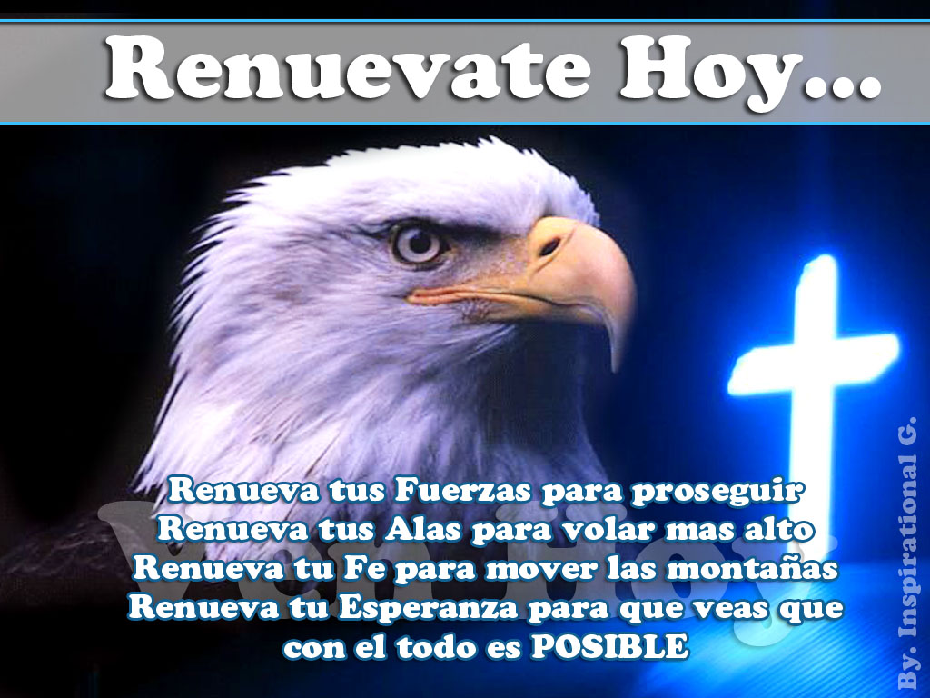 Como Las Aguilas