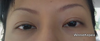 Before Eyebrow Embroidery