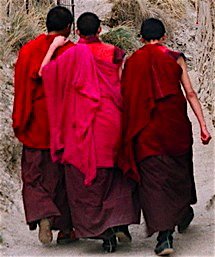 Young Monks In Xi'he, Gansu