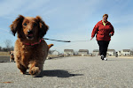 Chloe loves walking too!