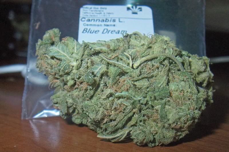 bud*ology Blue Dream.