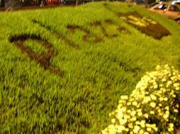 Diseño, decoracion y mantenimiento de Jardines, exterior, medio e interiores.