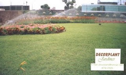 Jardines con Sistema de Riego Automatico