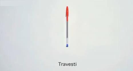 [Travesti.jpg]