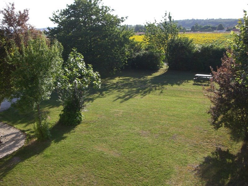 The lawn