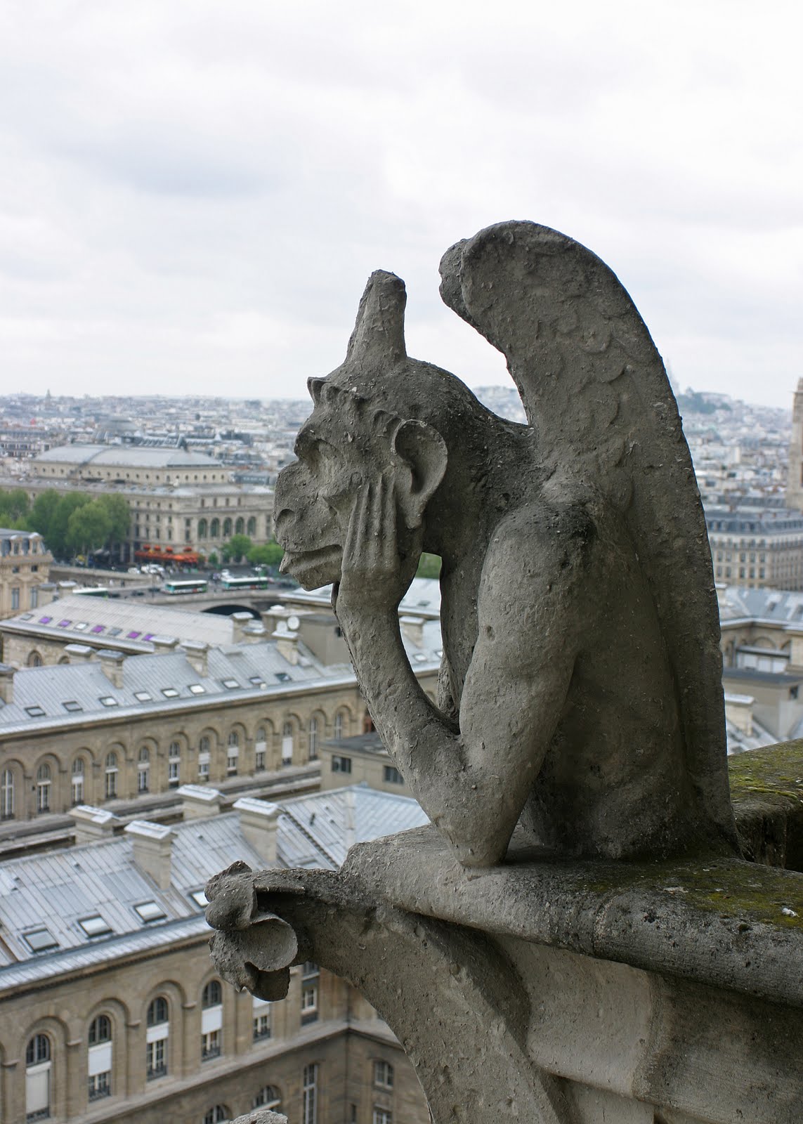 Alyca's Daily Life Notre dame tower climb