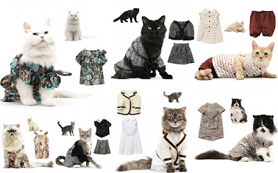 fashionable-cats-01.