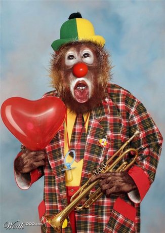 Animals-clowns-photoshopped-02.jpg