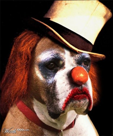 Animals-clowns-photoshopped-09.jpg