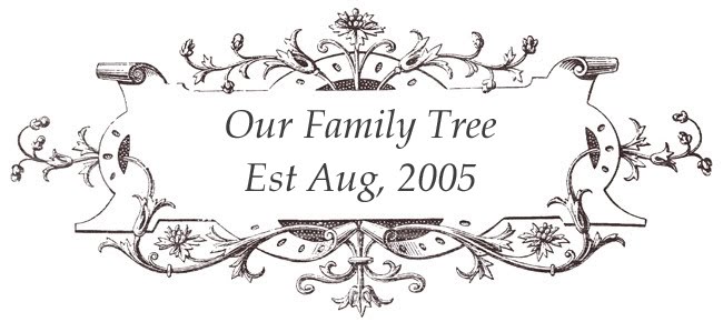 Our Family Tree