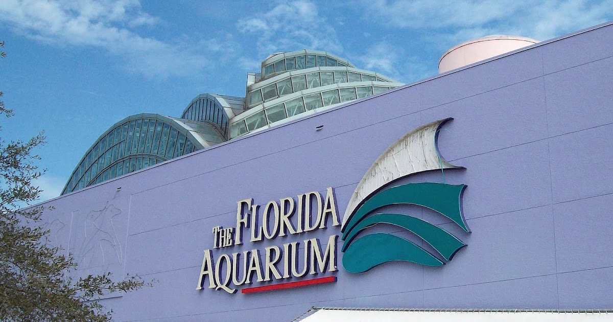 CJ's Artistic Reflections The Florida Aquarium