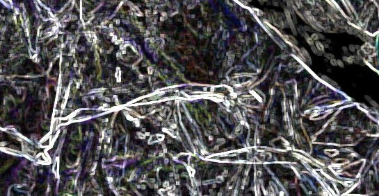 [Hohler+Folientest01Filter01Enlarged.jpg]