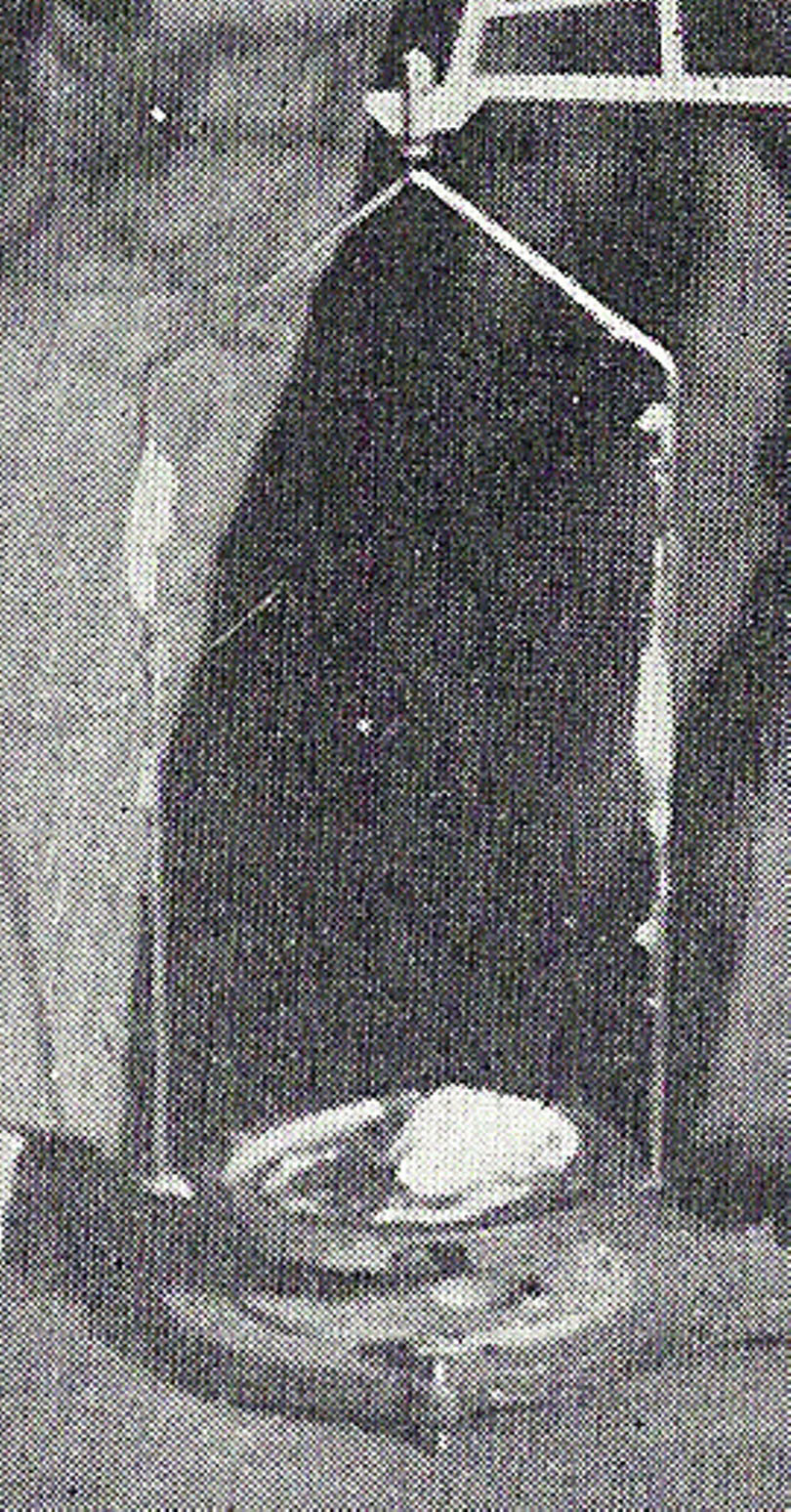 [MargerySuspEcto7.jpg]