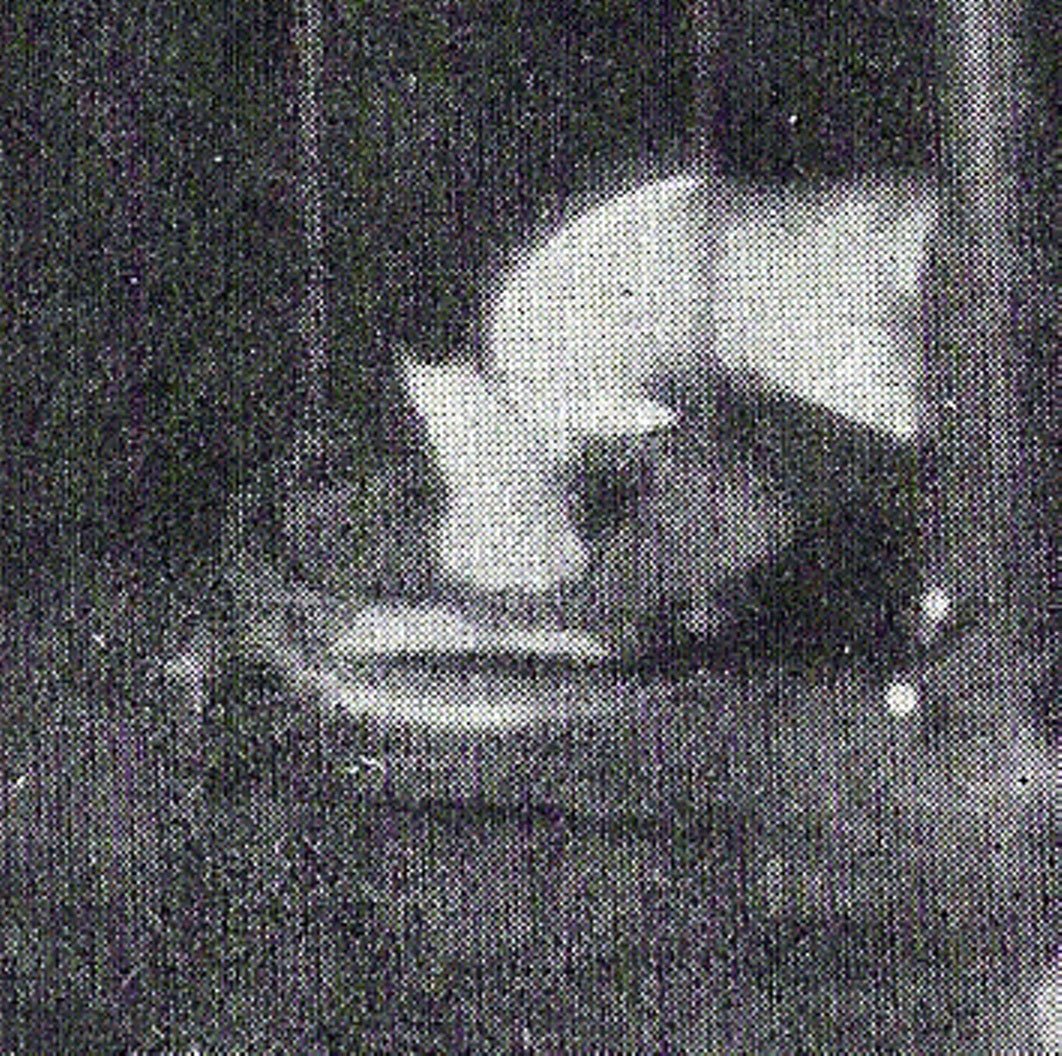 [MargerySuspEcto3.jpg]