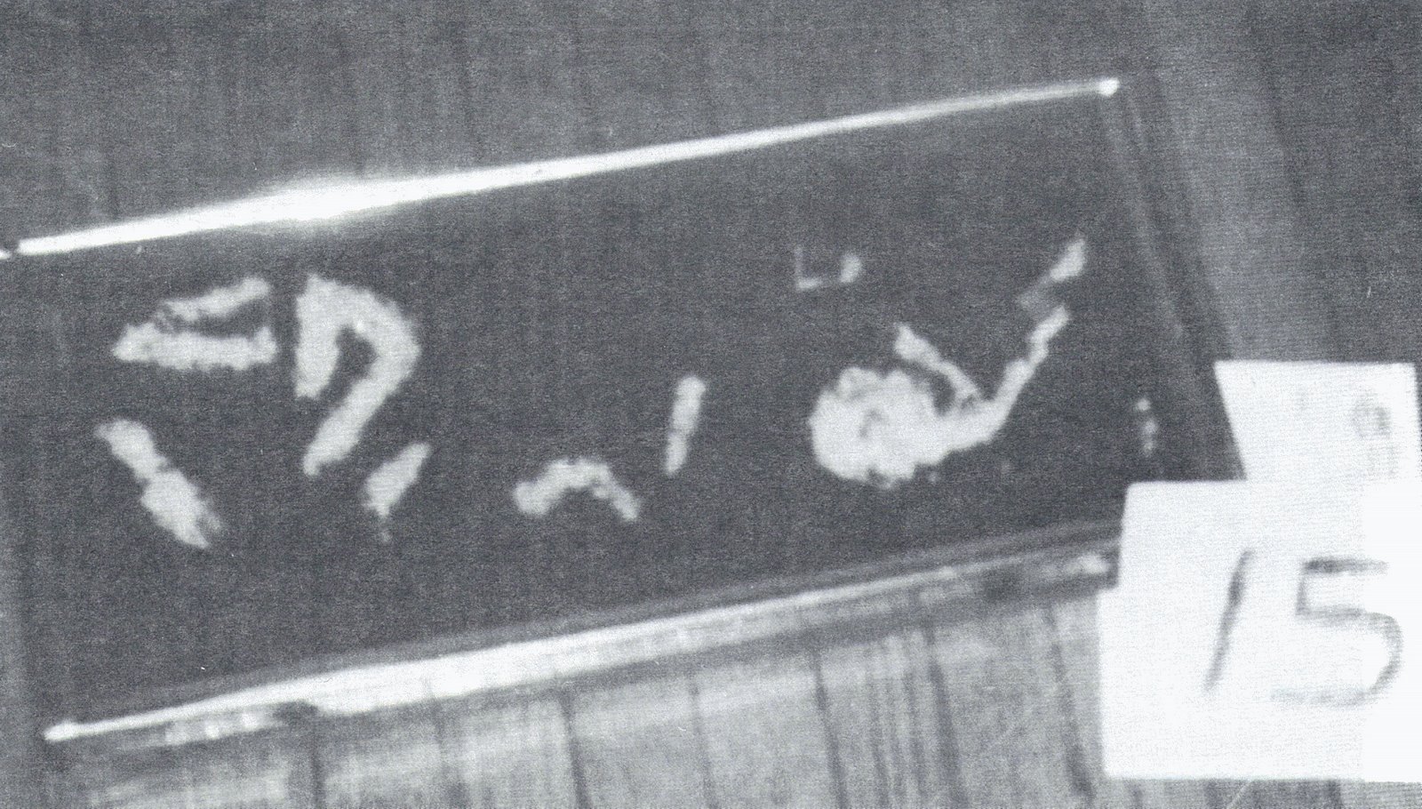 [Sorrat-Traces01BW.jpg]