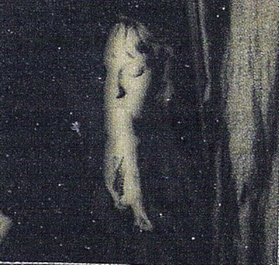 [StanislawaFilm05.jpg]