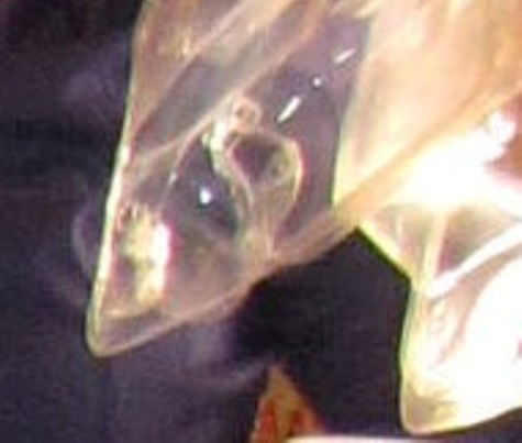 [HandStructureEnlargedGasExit.JPG]