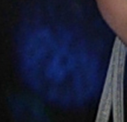 [BlauHundEnlarged.JPG]