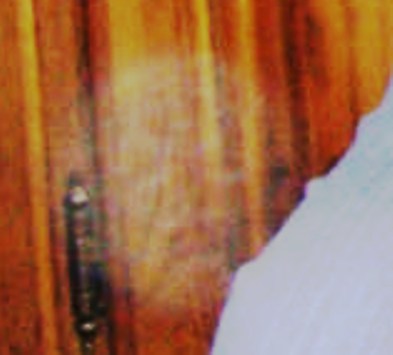 [GraParPlusBoyOrbFaceEnlargedEdit01.jpg]