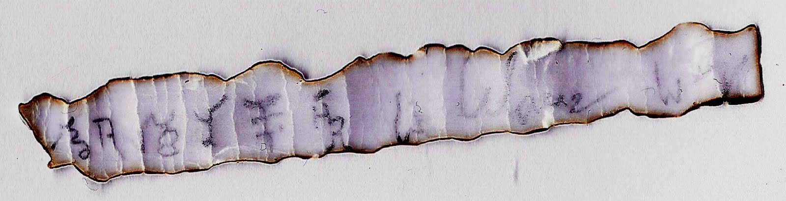 [ScoleGlyphsApportEdited.jpg]