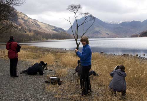 [buttermere-tree-group-16032010.jpg]