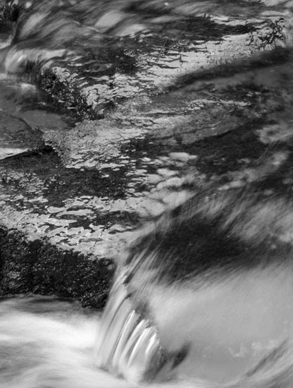 [paul-francis-3-shire-heads-falls-details-14-aug-2009.jpg]