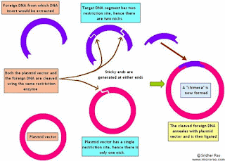 view elements of art historiography