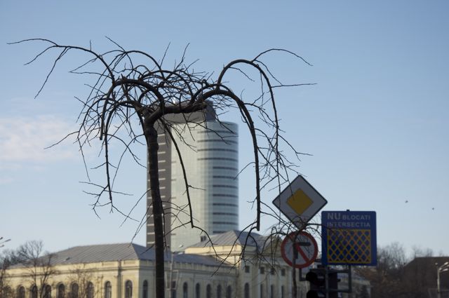 [TCA_christmas_tree.jpg]