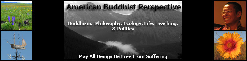 American Buddhist Perspective