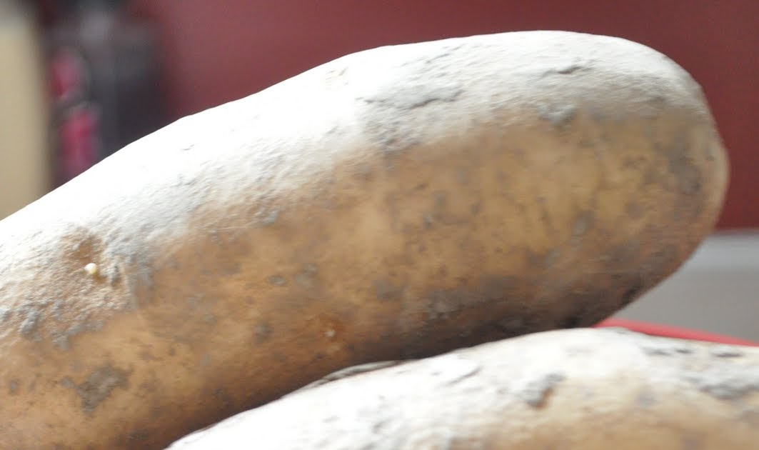 What I love, What I do, (from the Kitchen) Lion House Potatoes/Funeral