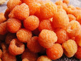 Gold Raspberries