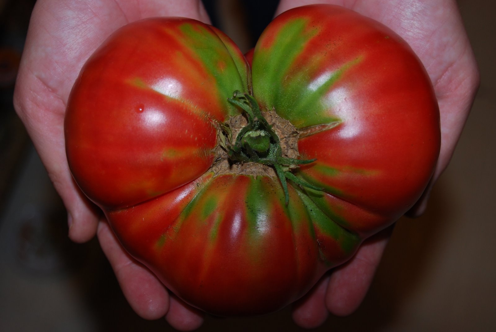 [tomato]