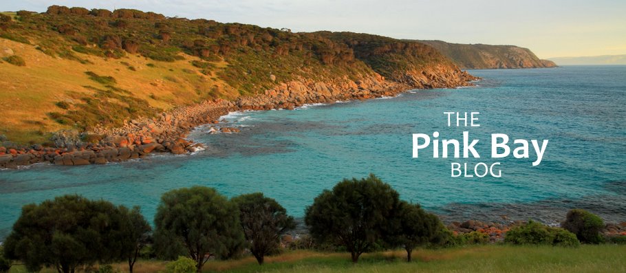 The PINK BAY Blog