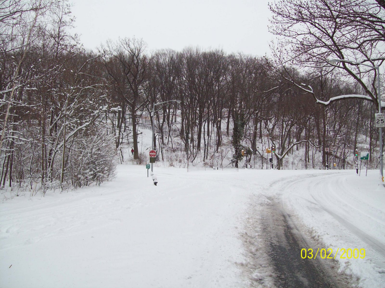 [100_0698.JPG]