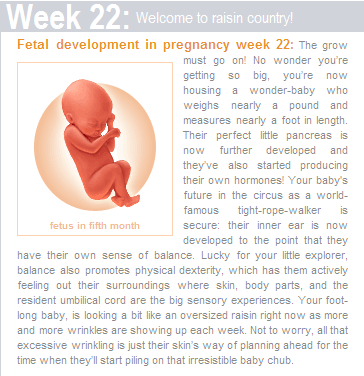 [Week22.png]