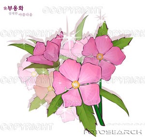 Siir Diyari Cicek Animasyon